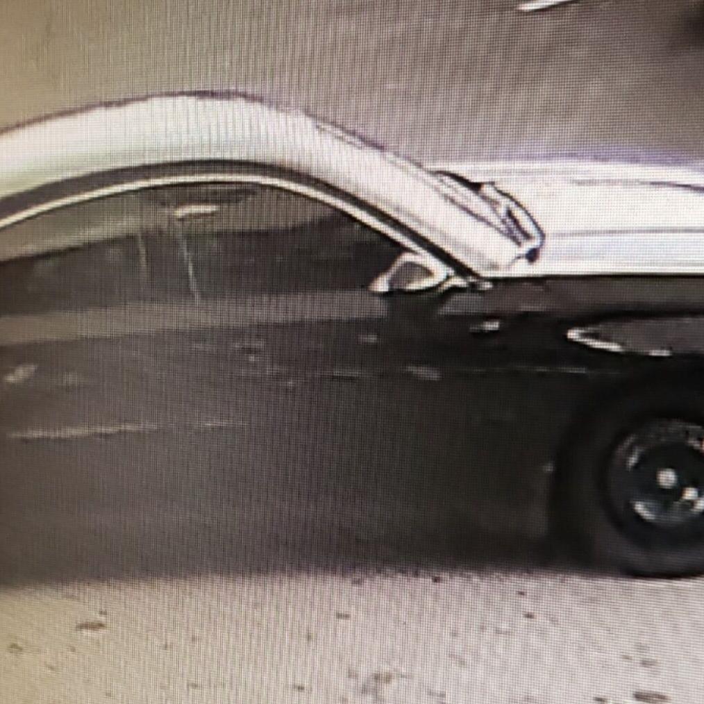 'Get down, there's a shooter'; witness describes Andretti gunfire